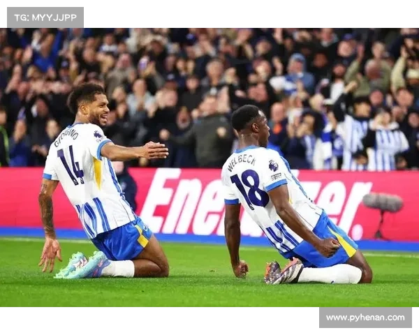 布莱顿创队史最高排名首次晋级欧联杯迎来历史性突破